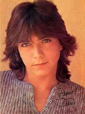 Popular Music: David Cassidy